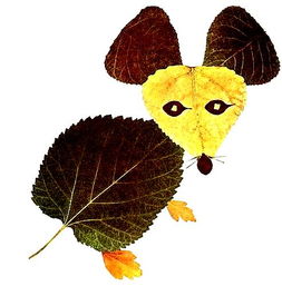 【招募令】小記者第六場主題活動“遇見秋天”系列之“樹葉粘貼”等你挑戰！